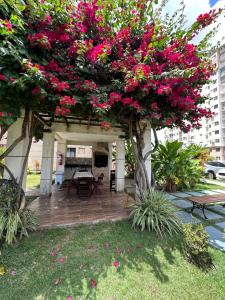 un patio con un mazzo di fiori rosa di APARTAMENTO CONFORTÁVEL A 900 MTS DA PRAIA DO ARAÇAGY a São Luís