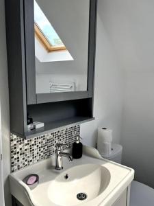 a bathroom with a sink and a mirror and a toilet at Forest Lux in TÄƒuÅ£ii MÄƒgheruÅŸ
