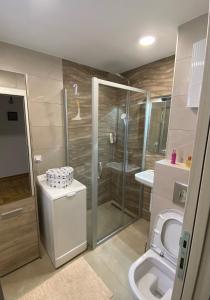 La salle de bains est pourvue d'une douche, de toilettes et d'un lavabo. dans l'établissement Apartment Riverside, à Novi Beograd