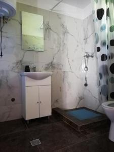 a bathroom with a sink and a toilet at Casa Fresh in Sântimbru-Băi