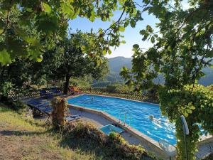 a swimming pool with people in the water at Country House Il Biroccio in Urbino