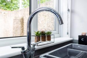 NormanbyにあるThe Normanby!の洗面台(蛇口、植物2本付)