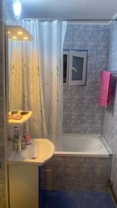 baño con lavabo y cortina de ducha en Casy&Angy en Braşov