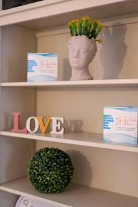 a shelf with a statue of a head and books at Odi et Amo - Luxury Love in Brescia