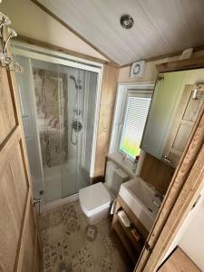 a bathroom with a shower and a toilet and a sink at Luxury 6-8 Berth Lodge in New Milton