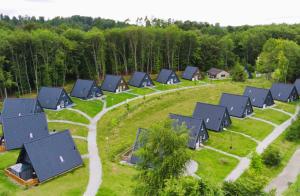 an aerial view of a row of houses in a forest at Ferienhaus88 am Twistesee in Bad Arolsen