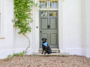 a black dog sitting in front of a door at Syleham House in Eye