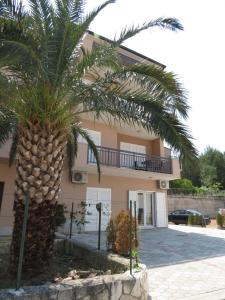 a palm tree in front of a house at Apartments Ljubičić in Podstrana