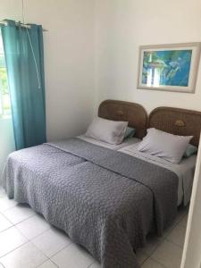 a bedroom with two beds in a room at Sugarhill Villa in Jolly Harbour