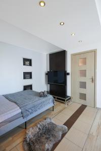 1 dormitorio con 1 cama y TV de pantalla plana en ClickTheFlat Chłodna Center Apart Rooms, en Varsovia