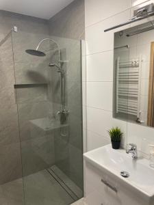 a bathroom with a shower and a sink at W Pieninach pokoje in Sromowce Wyżne