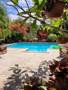 uma piscina no meio de um quintal com plantas em Vaea Hotel Samoa em Apia