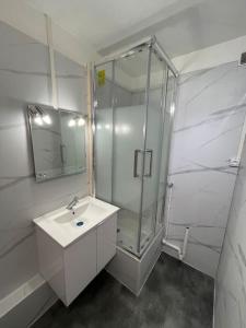 uma casa de banho com uma cabina de duche em vidro e um lavatório. em Champagne Cocooning em Reims