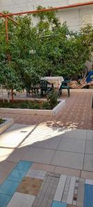 Sanos GardenApartament - Imazhi 13