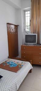 1 dormitorio con cama y vestidor con TV en Sanos GardenApartament, en Sarandë