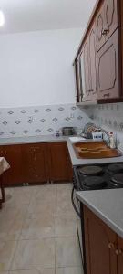 cocina con fogones y encimera en Sanos GardenApartament, en Sarandë