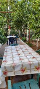 Sanos GardenApartament - Imazhi 15