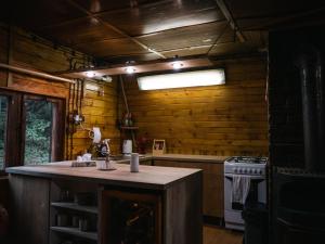 a kitchen with a stove and an island in it at Chata Jozef in Sabinov