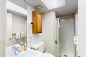 a bathroom with a toilet and a sink and a shower at Mountainside Resort B202 in Stowe +30 photos