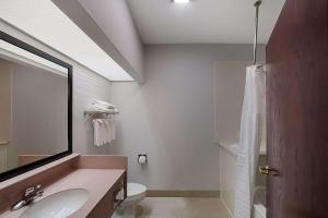 a bathroom with a sink and a toilet and a mirror at Quality Inn & Suites Irving DFW Airport South in Irving
