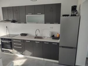 a kitchen with a sink and a refrigerator at Apartmani Tea in Jezera