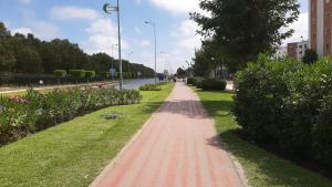 a brick path in a park with trees and flowers at شقة مفروشة بالمسبح و نادي رياضي in Kenitra