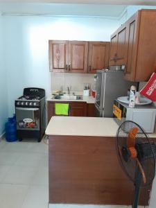 a small kitchen with wooden cabinets and a sink at Comodo apartamento en el centro de la ciudad in Santiago de los Caballeros