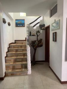 Fotografie z fotogalerie ubytování Casa Charlotte v destinaci Puerto Baquerizo Moreno