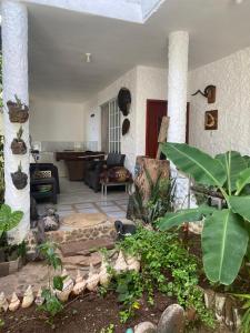 Zahrada ubytování Casa Charlotte + 3 fotografie