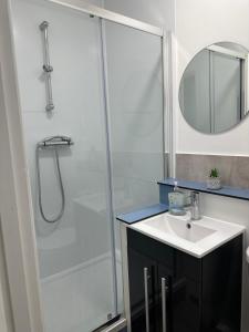a bathroom with a shower and a sink at High Barnet Studio Flat in Barnet