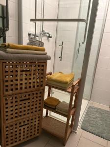bagno con doccia, cestini e lavandino di Chez Pipo a Conthey