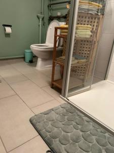 a bathroom with a toilet and a rug on the floor at Chez Pipo in Conthey