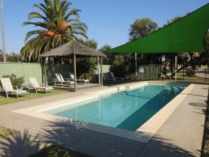 a swimming pool with a green umbrella and chairs at Wine Village Motor Inn in Rutherglen