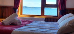 Una cama con un osito de peluche delante de una ventana en Hostal Vista al Mar hct, en Ancud