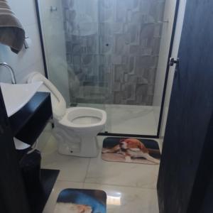 een badkamer met een douche en een toilet bij Kitnet próximo ao parque exposições in Maringá