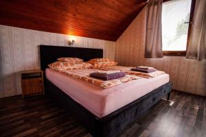 - une chambre avec un grand lit dans l'établissement Apartment in Balatonföldvar 45317, à Balatonföldvár
