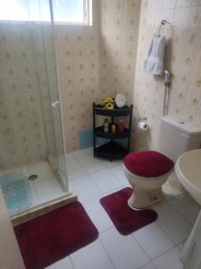 La salle de bains est pourvue d'une douche, de toilettes et d'un lavabo. dans l'établissement Aconchegante e especial, à Récife
