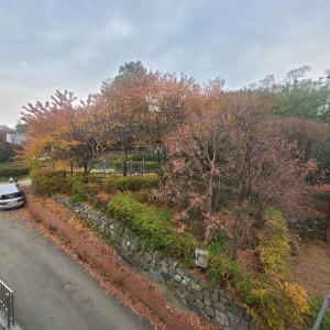 a car parked on the side of a road with trees at Seoul venture town stn #2 7mins, near forest room in Seoul