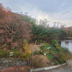 a garden in a yard with a stone wall at Seoul venture town stn #2 7mins, near forest room in Seoul