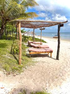 um grupo de bancos sentados na praia em Juani beach bungalows em Kilindoni