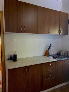 cocina con armarios de madera y encimera en Apartman LENNA, en Trebinje