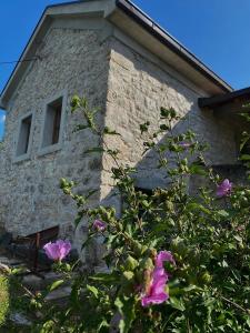 a stone building with pink flowers in front of it at Apartman LENNA in Trebinje