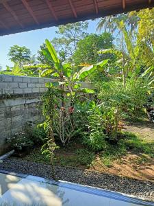 Zahrada ubytování Bali Asli Guest House by EPS