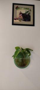 蒙纳Soly's Villa Homestay的相册照片