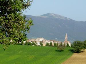 MontecastrilliにあるBilocale Verde Umbriaの町山を背景にした緑地