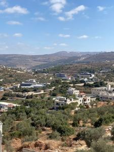 a view of a small town in the hills at Alfred Apartments in Ramallah