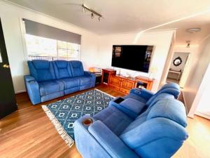 Clarendon Cottage , near lowood في Clarendon: غرفة معيشة مع أريكة زرقاء وتلفزيون بشاشة مسطحة