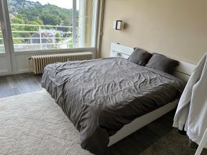 a bed in a bedroom with a large window at Clam，grand apartment in Uccle in Brussels