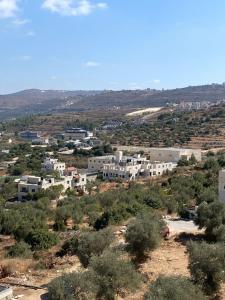 a town on a hill with trees and buildings at Alfred Apartments in Ramallah