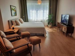 TV a/nebo společenská místnost v ubytování Šeimos Būstas Homestay